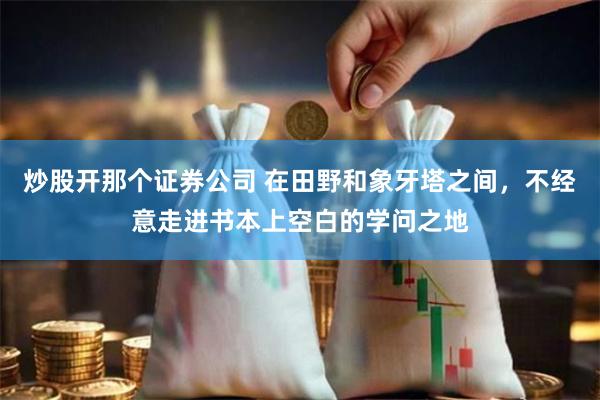炒股开那个证券公司 在田野和象牙塔之间，不经意走进书本上空白的学问之地