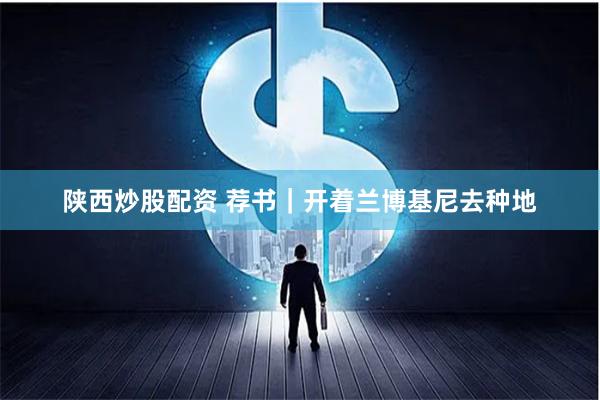 陕西炒股配资 荐书｜开着兰博基尼去种地